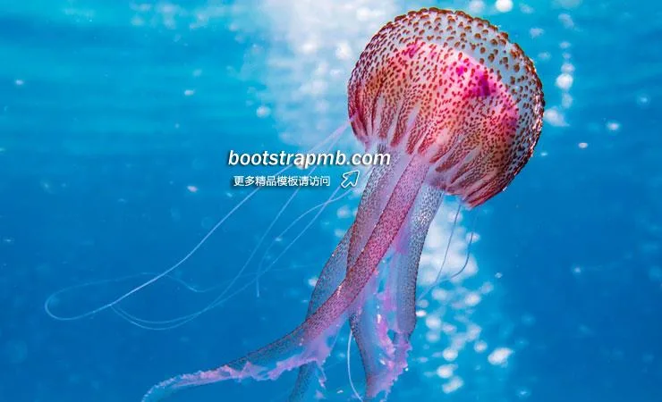 问鼎娱乐：您的全方位互娱枢纽 - 问鼎娱乐官网