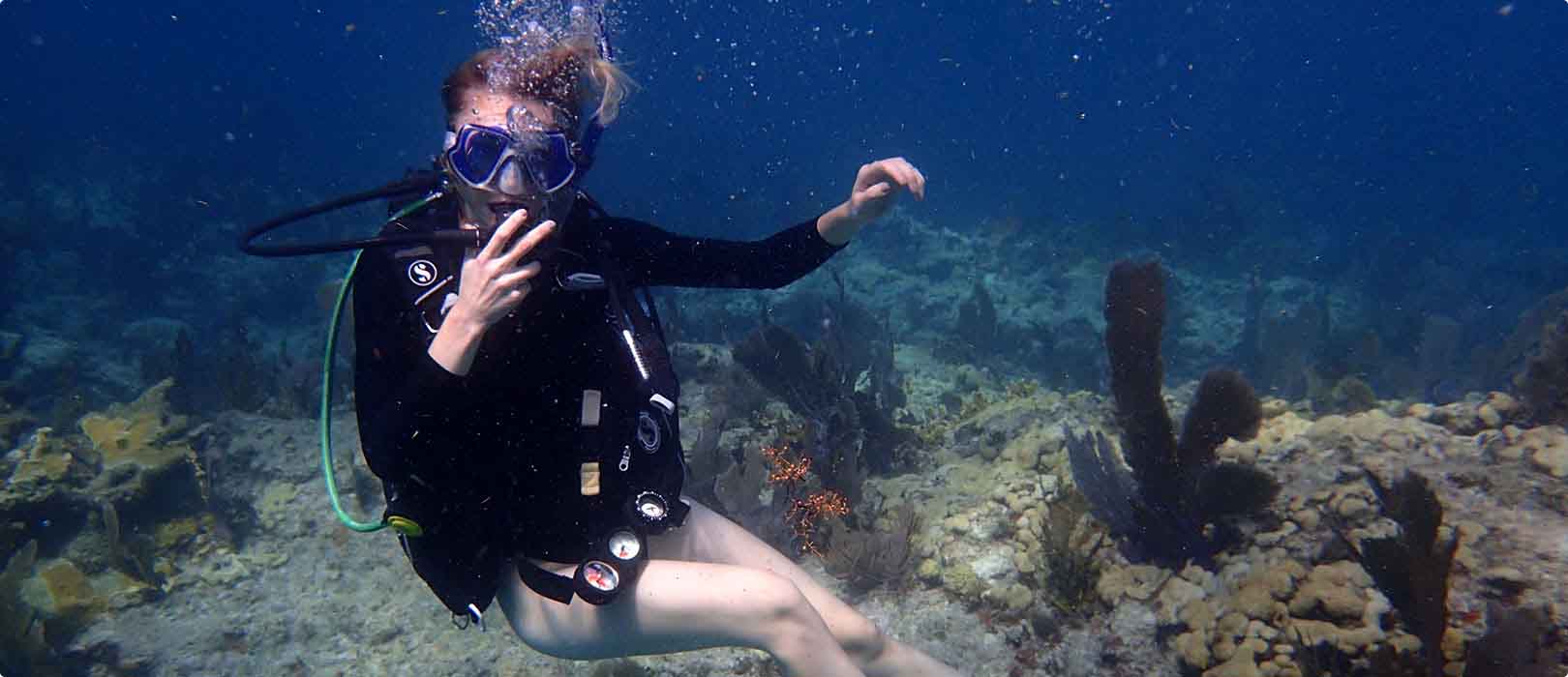 Adventure Diving Bali - 问鼎娱乐官网